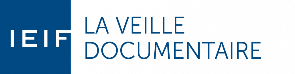 IEIF La Veille Documentaire