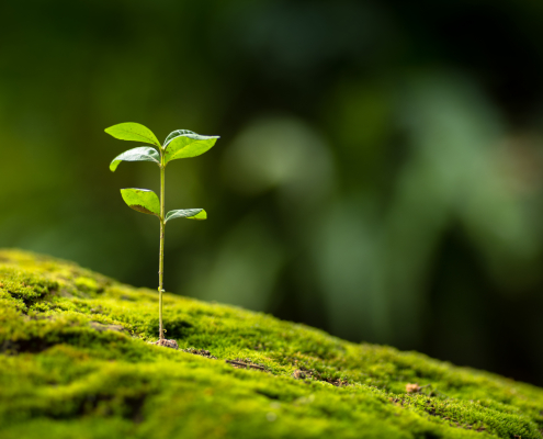 Image-matinée-prospective-2026